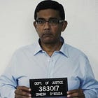 Here Are The Deleted NSFW Scenes From Dinesh D'Souza's Sex Book About The 2,000 Mules!