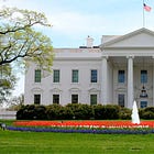 Trump’s White House Makeover: From Magnolia to Mar-a-Lago