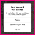Well, TikTok Was Fun While It Lasted