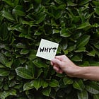 What does social impact mean for you?