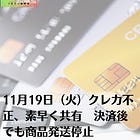 11月19日（火）クレカ不正、素早く共有 決済後でも商品発送停止
