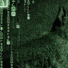 Privacy in the Age of Panopticoins