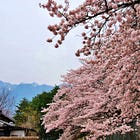 5 Concepts Japonais qui ont changé ma vie