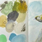 July Round-up - Birds Galore!