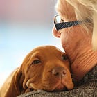 PONDER THIS: Steering Our Ship - Concrete Steps for Emotion Regulation 