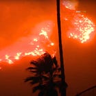 Trump Blames Biden, Newsom For California Wildfires. That’s The Extent Of His Personal Assistance.