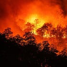 Mexican National In US Illegally Person Of Interest, Being Held In Connection With California Fires