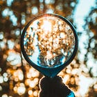 ✨ 100 Days of Wonder | Days 1-20