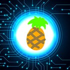 BRC-20の誕生を見ておこう。BitcoinのERC-20的な