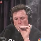 Elon Musk Was An Illegal Immigrant
