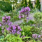 Havenwood August Garden Tour