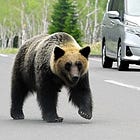 SCOUTING REPORT | Indian Country lawsuit, Pierre cracks the hydrants, running for grief, Japanese bear attacks