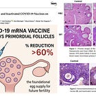 BREAKING: COVID-19 mRNA Shots Destroy Over 60% of Women’s Non-Renewable Egg Supply