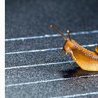The Software Development Reality: The Need for Scalable Architecture