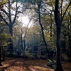 Sensing stillness, space and sparks in November.