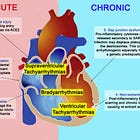 What COVID-19 Does To The Body (Sixth Edition, December 2024)