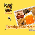 Techniques de récolte du miel