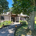 🖌️ Guide to Adult Learning Classes + Workshops on Martha's Vineyard 
