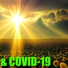 The Utility of Vitamin D in Relation to COVID-19