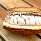 # 32 Journey to the Galápagos (IV): Living off the Grid on a Cacao Plantation