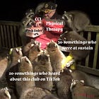 Feeding the Raccoons: Physical Therapy B2B CCL at Nowadays Indoors