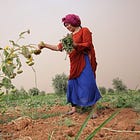 conheça Jinwar, a vila ecológica de mulheres livres em meio à guerra no Oriente Médio 