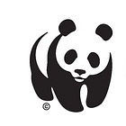 Planetary Management of Planetary Health