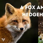 A Fox Among Hedgehogs