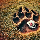 The Bear