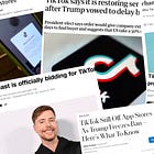 The Great American TikTok Tantrum