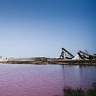 Salt. Looking into an Ancient Salt Marsh in France