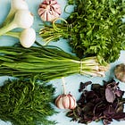Welcome to Nourish Newsletter 