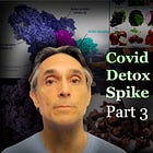 COVID “Vaccines” Detox | Part 3 | Blocking Spike Protein