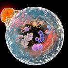 Autophagy 101