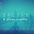 Crash Course in Meditation Day 2
