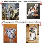 Maupal ed il possibile plagio di TvBoy