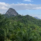 Mushroom Hunting at Khao Phanom Bencha National Park | Krabi, Thailand
