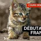 Vous sentez-vous débutant en français?