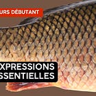 Les expressions essentielles