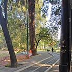 Take a morning stroll through our beautiful Mexico City park