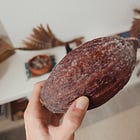 Épisode 00 : Le (re)commencement
