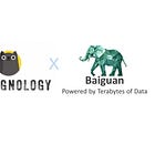 EP21. On DeepSeek - Baiguan X Pekingnology, with Johnny Zou