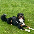 Hot Takes with Hank - AMA but please no nonsense!