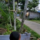 Portraits in Papua