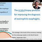 Eosinophilic Esophagitis: Essential Steps for a Correct Diagnosis