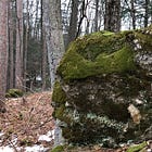 A Possible Perched Effigy Stone in Burlington, Vermont