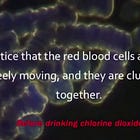 A klór-dioxid (CDS) vérre, illetve a hemoglobinra gyakorolt hatása, orális, illetve a vérrel történő közvetlen találkozásakor (MAGYAR HANGGAL)