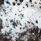 Hey Rudy Giuliani Time To PAY THE FUCK UP and all your other Wonkette news of today!