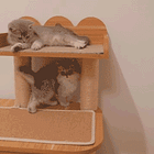 Wonkette Email Of News For Aug. 4, 2023!