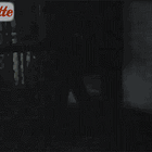 Trump On Trial! It’s A Madhouse!